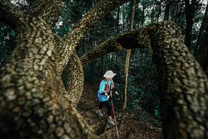 BIB: 
                            <button type="button" onclick="openModal(25703178)" class="btn btn-primary btn-sm float-right btn-popup" data-toggle="modal" data-target=".modal-high-quality">
                        <i class="fas fa-shopping-cart"></i> Add to Cart
                    </button>
                                            <button type="button" onclick="isThisMe(25703178, true)" class="btn btn-success btn-sm float-right btn-popup btn-isme hidden" data-toggle="tooltip" data-placement="bottom" title="นี่คือรูปของคุณใช่ไหม คลิกที่นี่เพื่อเอาเข้าอัลบั้ม">
                        <i class="fas fa-plus"></i> Add to album
                    </button>
                    <button type="button" onclick="isThisMe(25703178, false)" class="btn btn-warning btn-sm float-right btn-popup btn-isnotme hidden">
                        <i class="fas fa-ban"></i> Remove from album
                    </button>